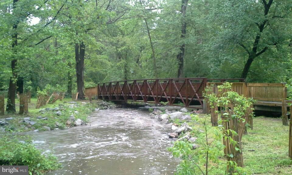 7615 Trail Run Road Falls Church, VA 22042 - Photo 26 of 28 Luria Park