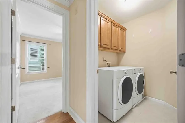 a view of a backyard with plants and large tree