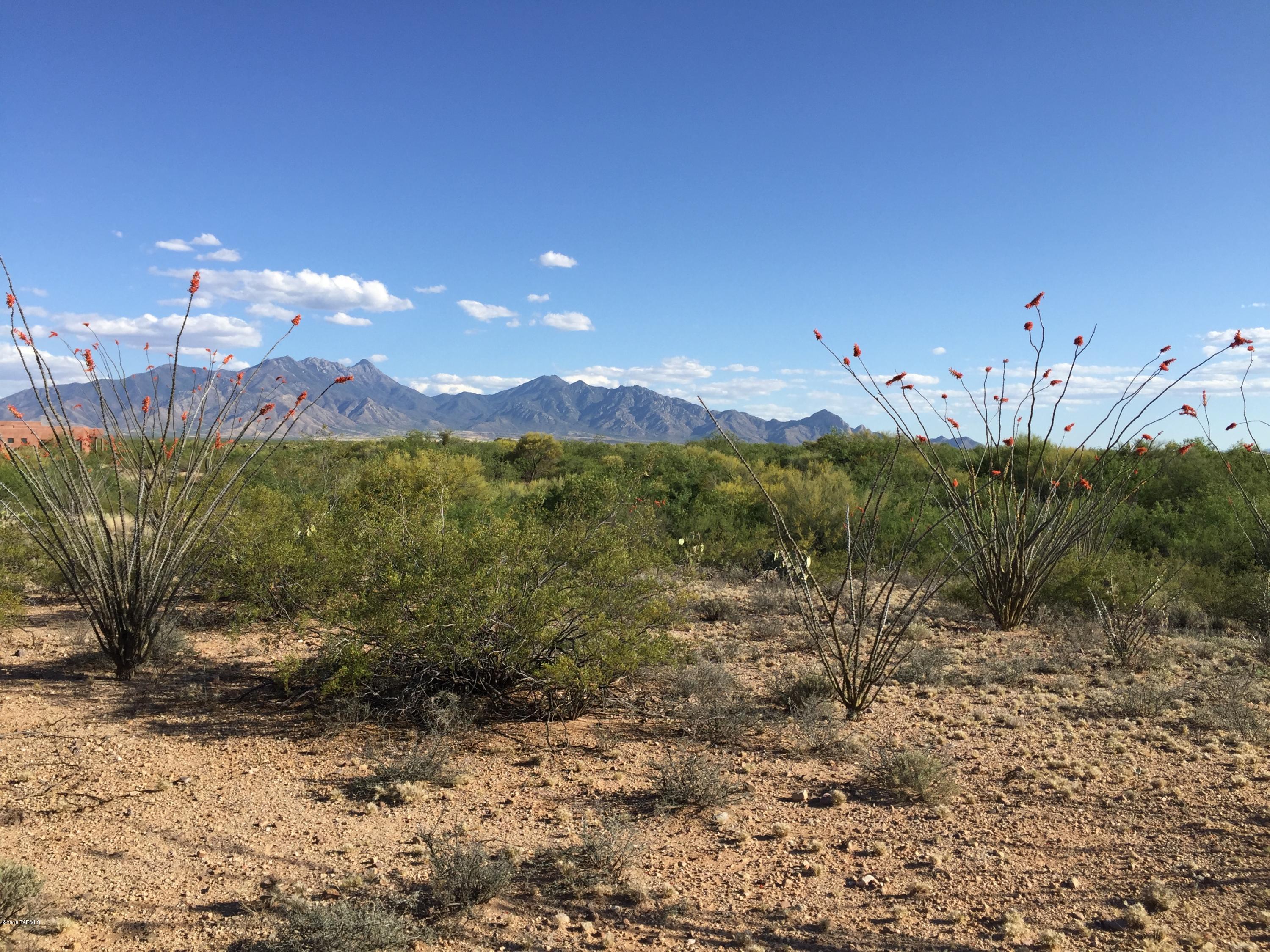 201 North Rustic Ridge Place, Unit 47 Sahuarita, AZ 85629 - Photo 3 of 15