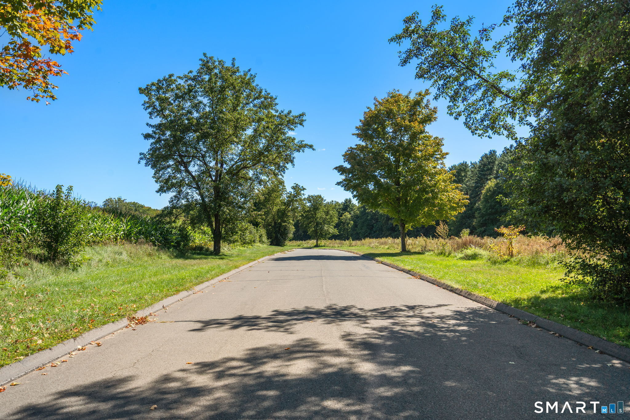 59 Harmony Hill Road Granby, CT 06035 - Photo 10 of 11 Gallery Image 10