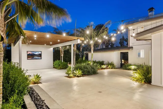 a view of a backyard with plants