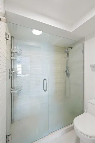 a bathroom with a shower and toilet