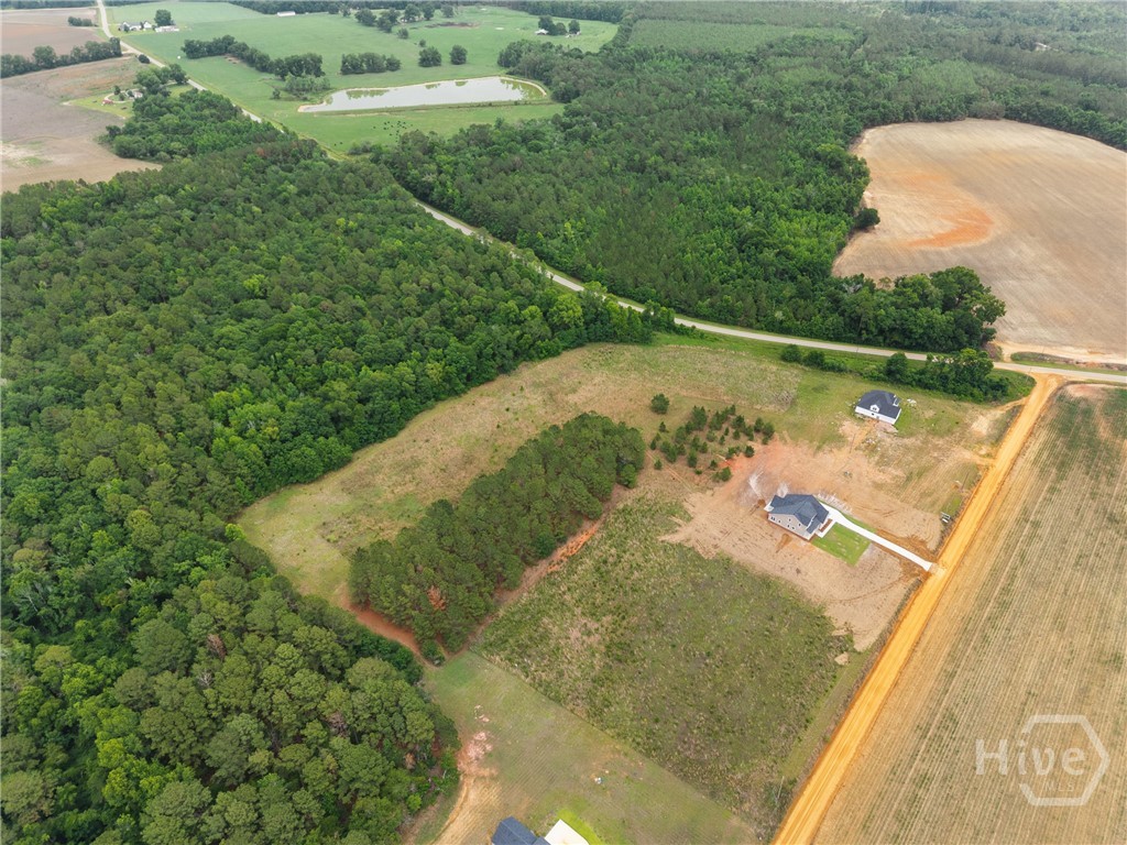 3167 Jason Franklin Road Franklin, GA 30217 - Photo 41 of 50