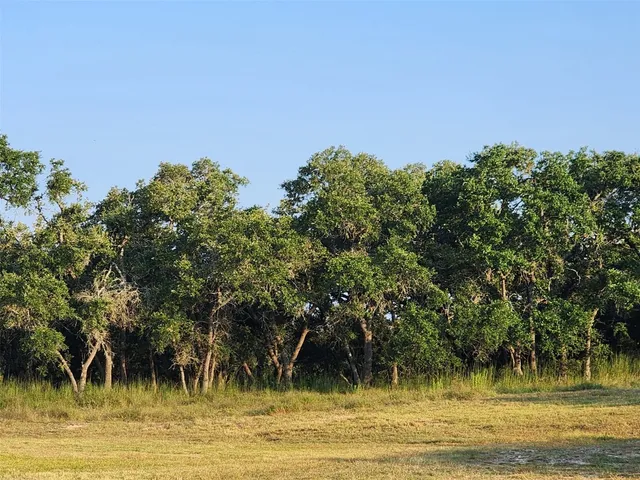 a view of a yard with a tree