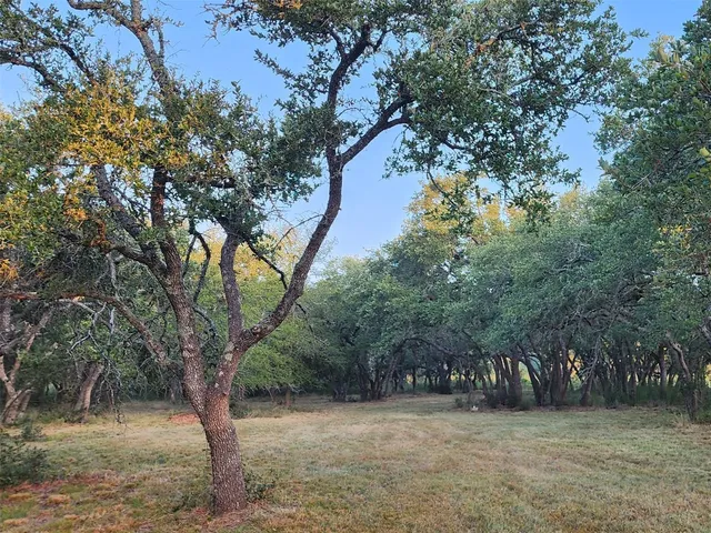 a view of a yard with a tree in the background