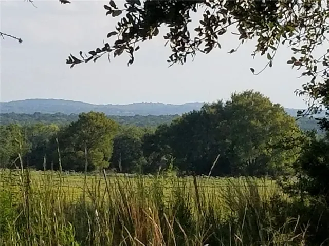 a view of yard with trees