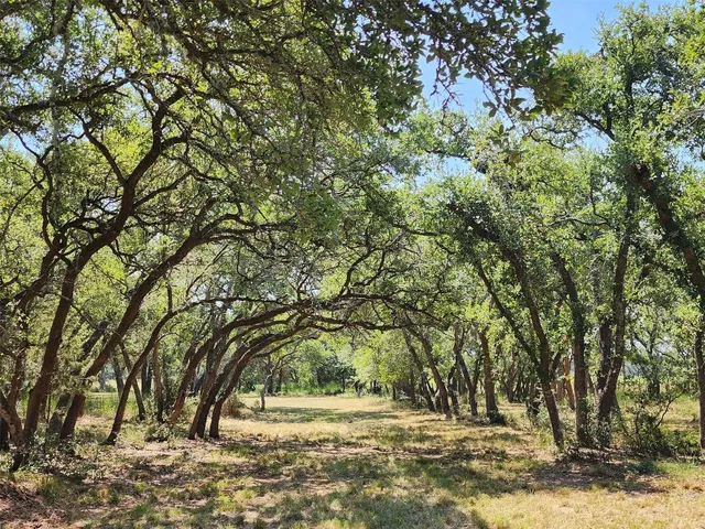 a view of outdoor space with yard