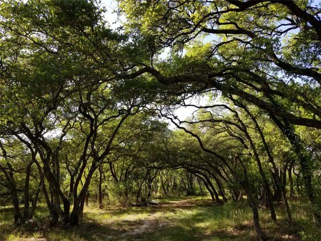a view of outdoor space