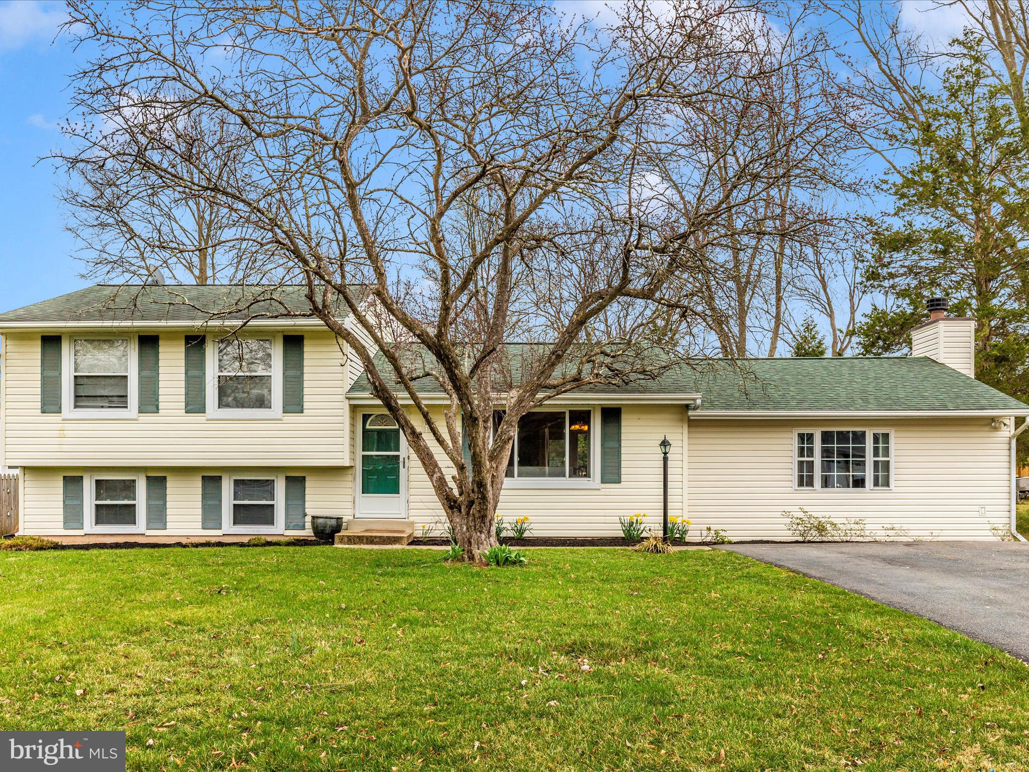 19005 Dowden Circle Poolesville, MD 20837 - Photo 2 of 51 a front view of a house with a garden