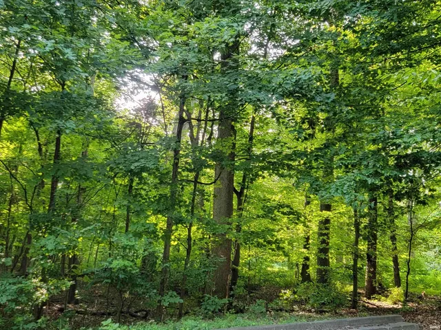 $135,000 | Jefferson Jefferson Street, Jasper, IN 47546