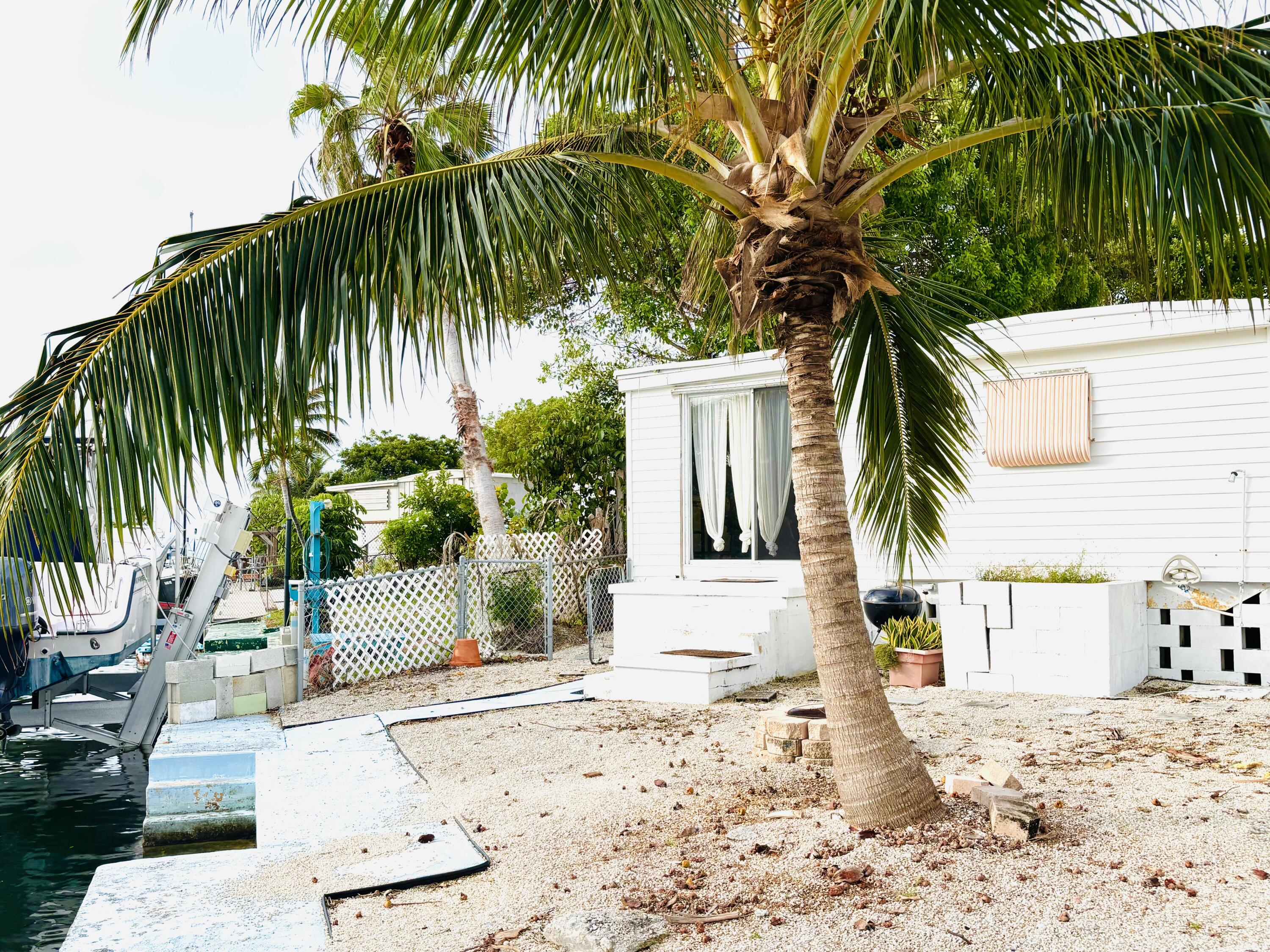 47 Boundary Lane Key West, FL 33040 - Photo 11 of 16 a view of a backyard with a tree