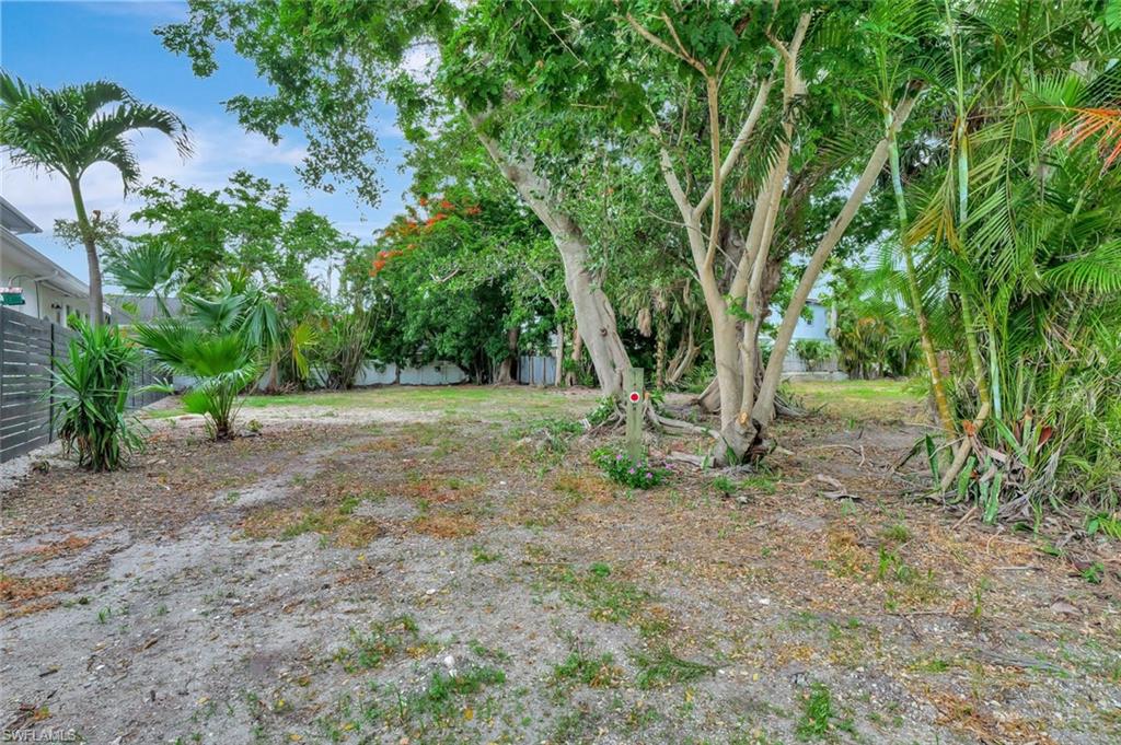Carlton Avenue Naples, FL 34112 - Photo 9 of 22 a view of a tree in a yard