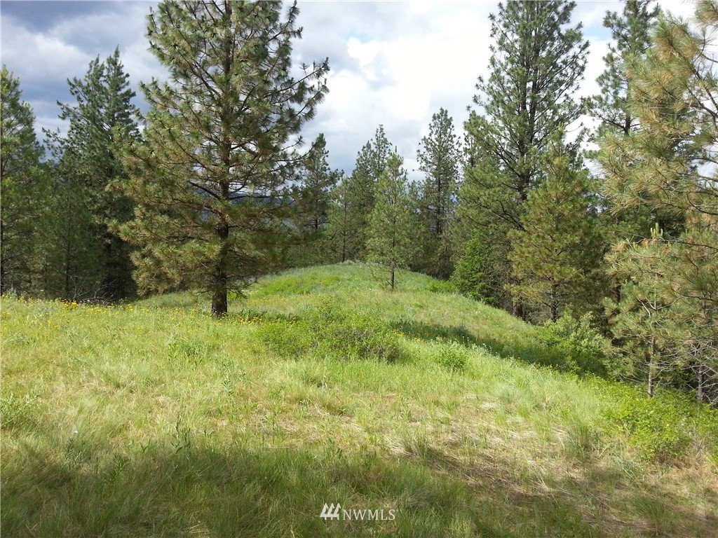 16 Happy Jack Road Curlew, WA 99118 - Photo 2 of 6 Gallery Image 2