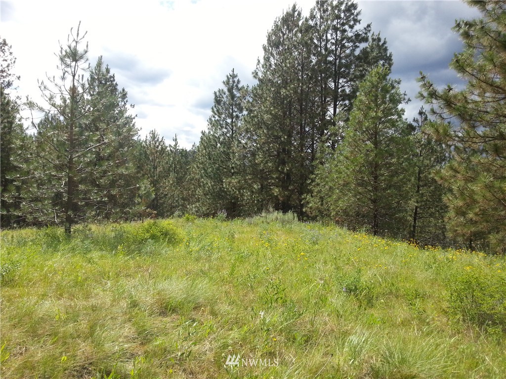 16 Happy Jack Road Curlew, WA 99118 - Photo 3 of 6 Gallery Image 3
