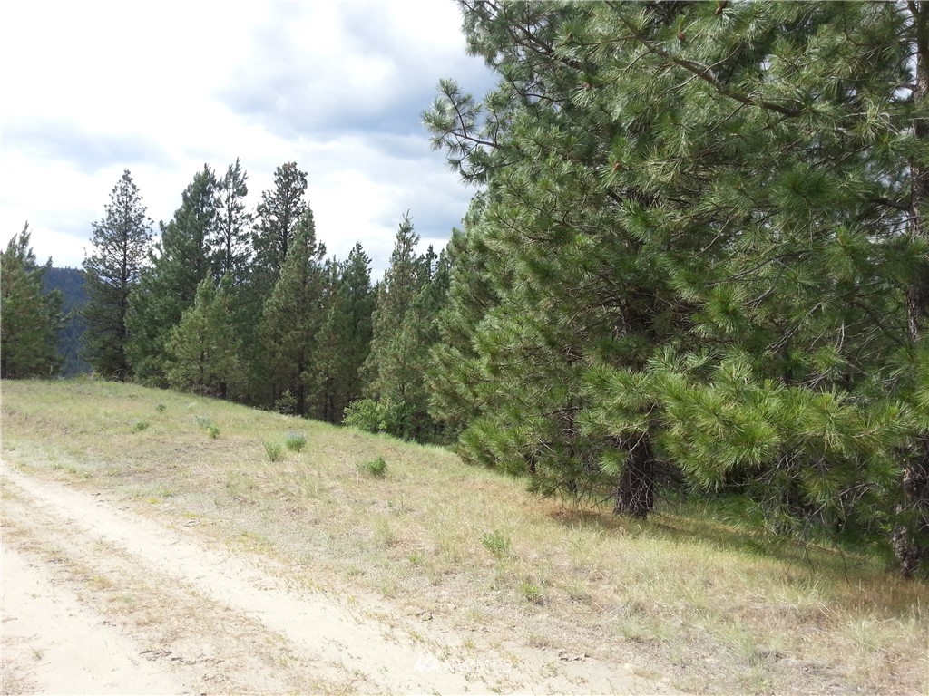16 Happy Jack Road Curlew, WA 99118 - Photo 5 of 6 Gallery Image 5