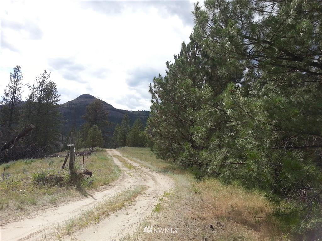 16 Happy Jack Road Curlew, WA 99118 - Photo 6 of 6 Gallery Image 6