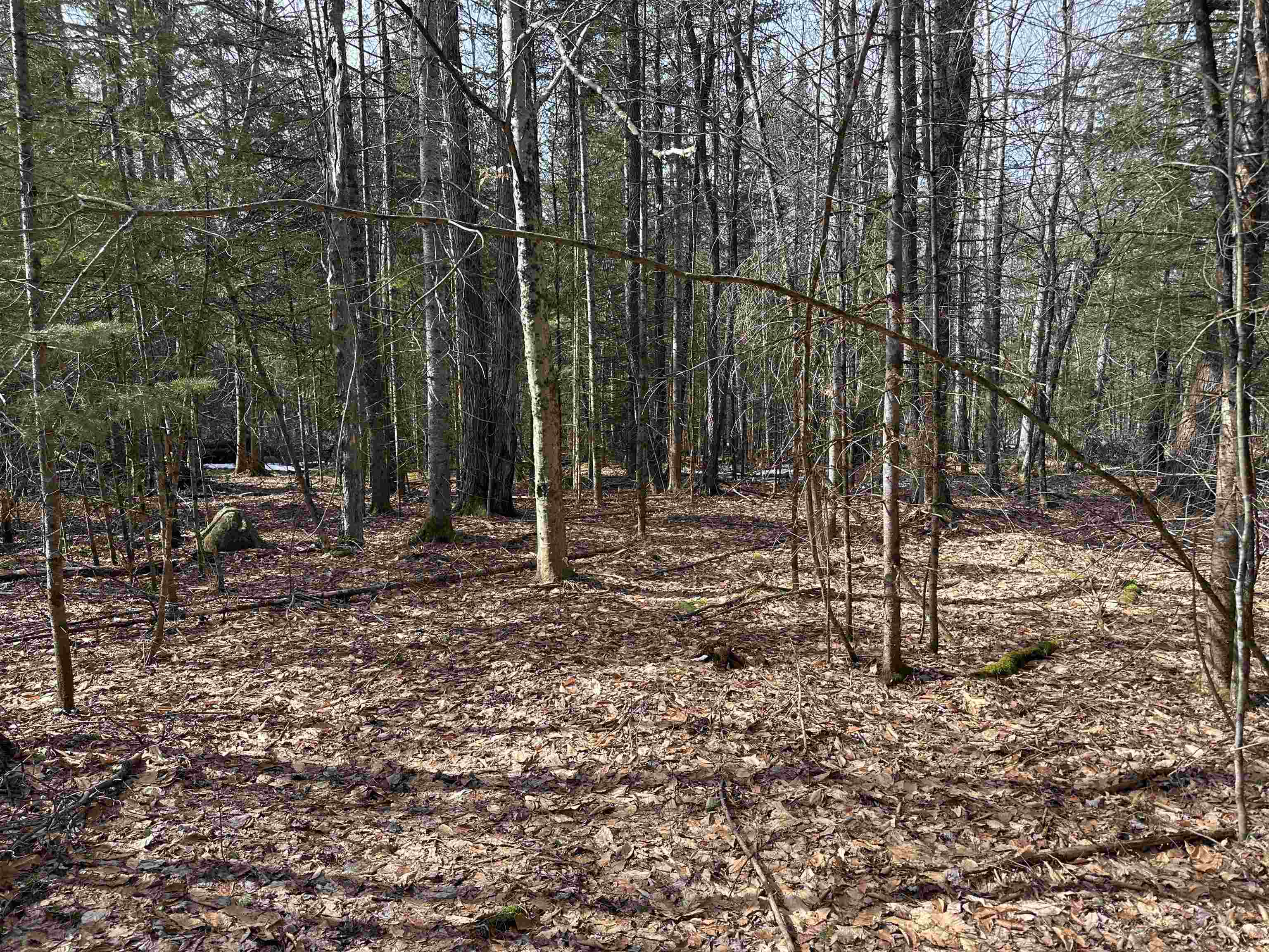 Page Hill Road, Unit 3 Lancaster, NH 03584 - Photo 20 of 42