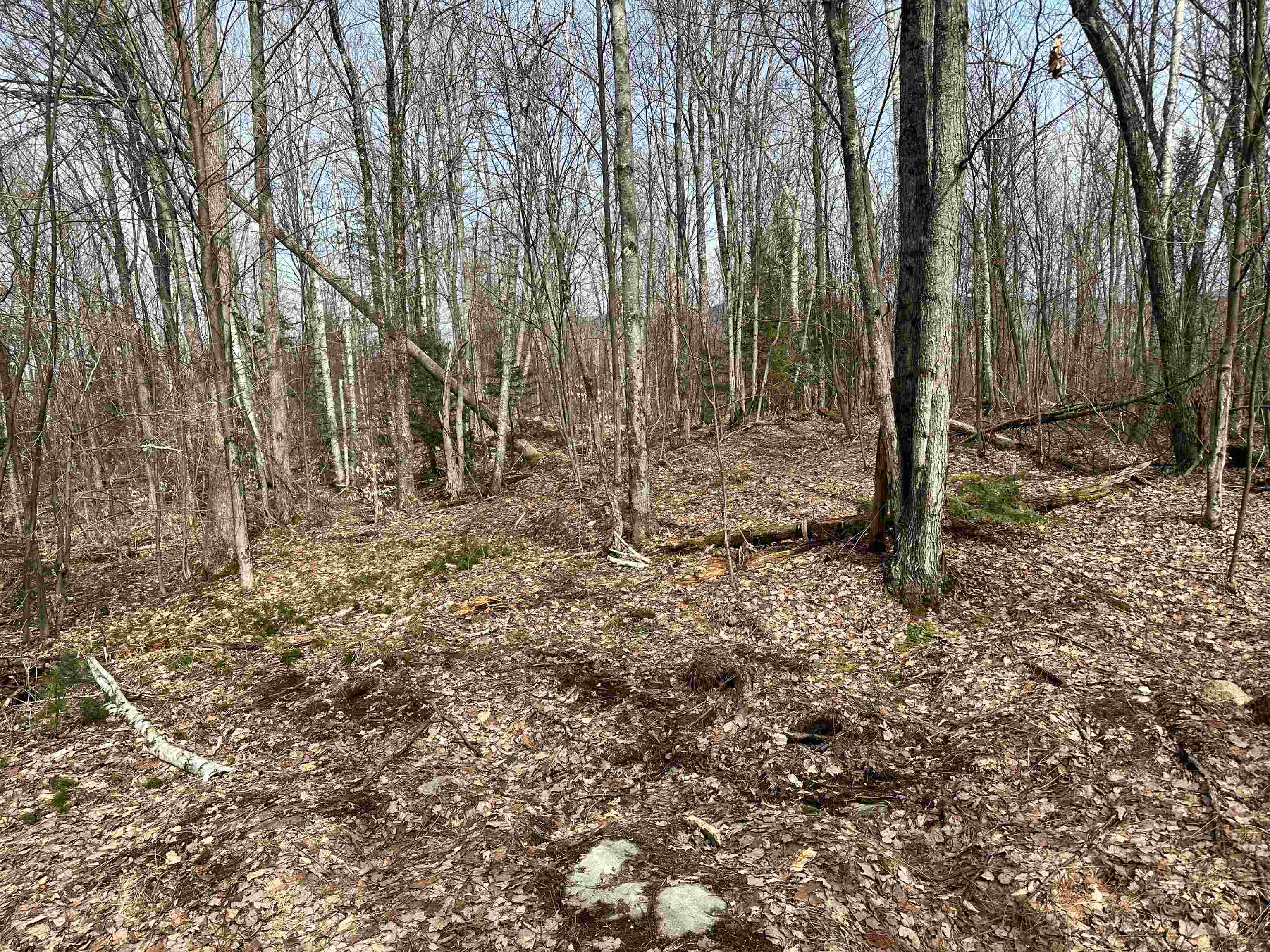 Page Hill Road, Unit 3 Lancaster, NH 03584 - Photo 26 of 42