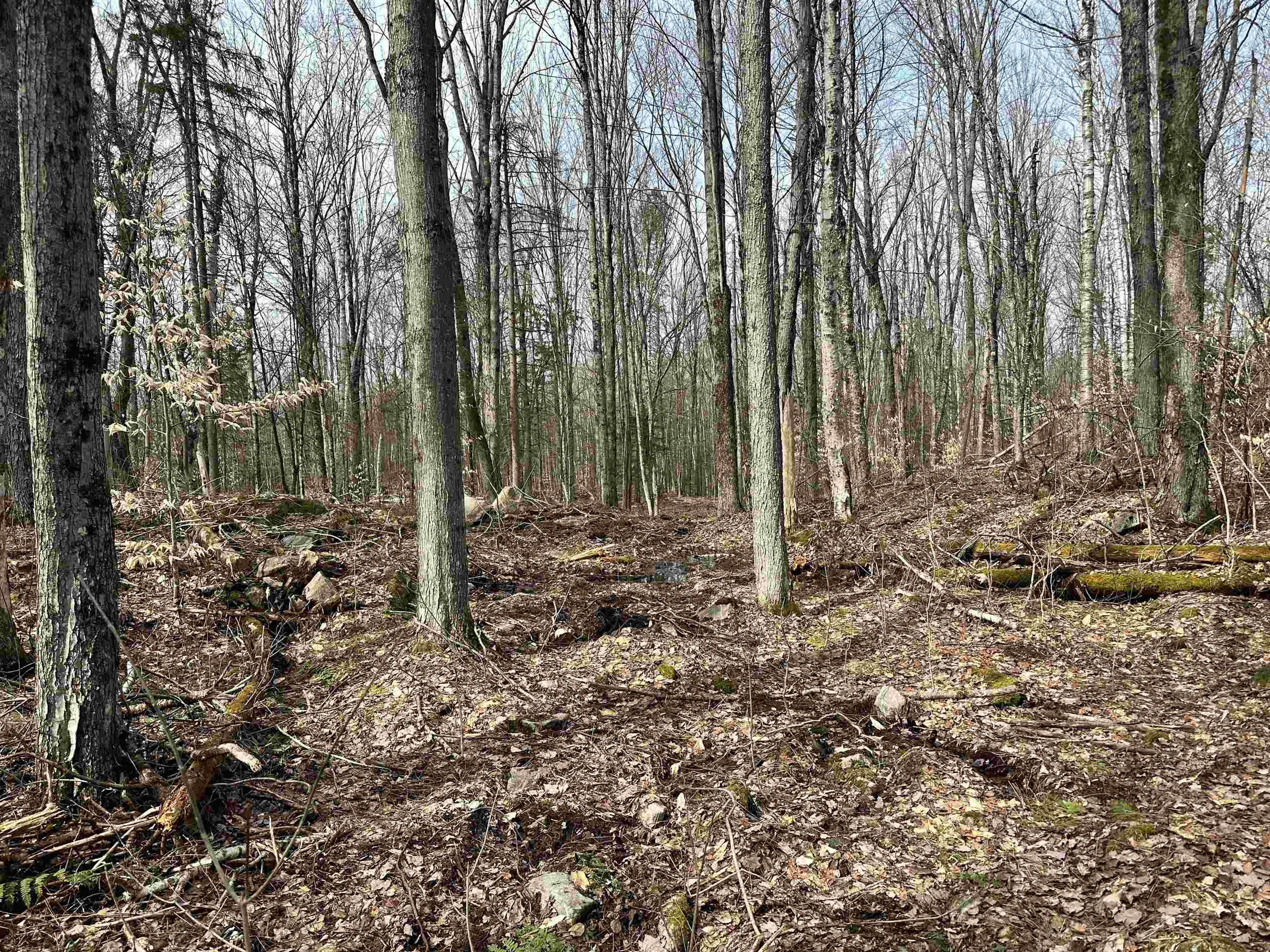 Page Hill Road, Unit 3 Lancaster, NH 03584 - Photo 29 of 42