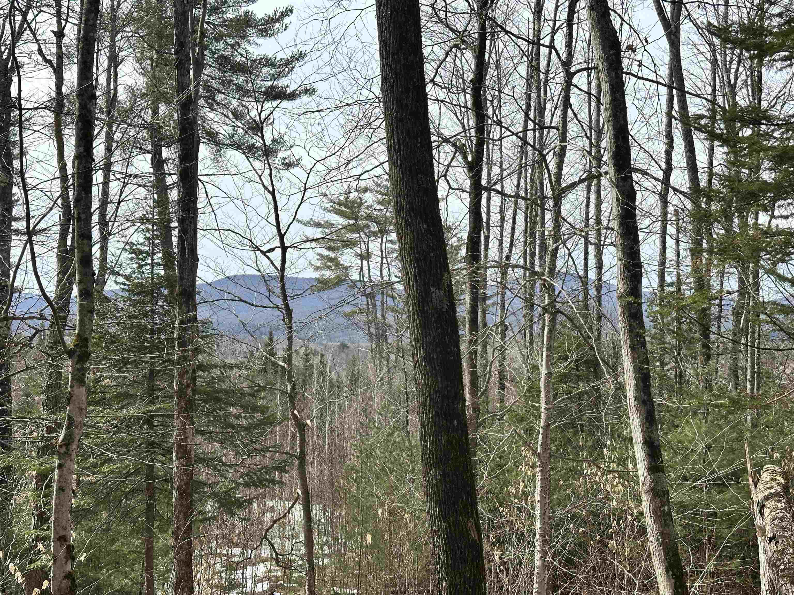 Page Hill Road, Unit 3 Lancaster, NH 03584 - Photo 38 of 42