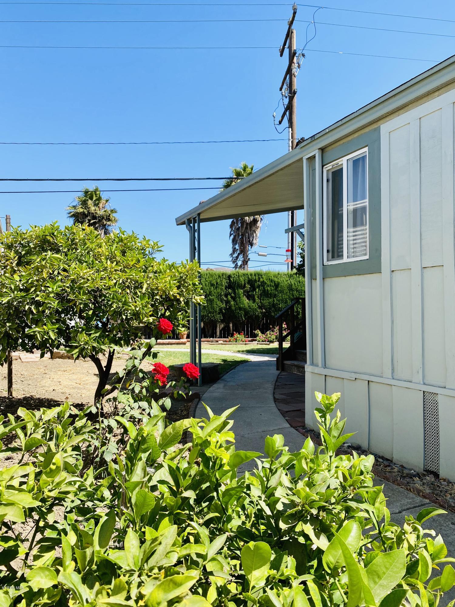 15433 West Telegraph Road, Unit 4 Santa Paula, CA 93060 - Photo 42 of 52 a front view of a house with a yard and a tree