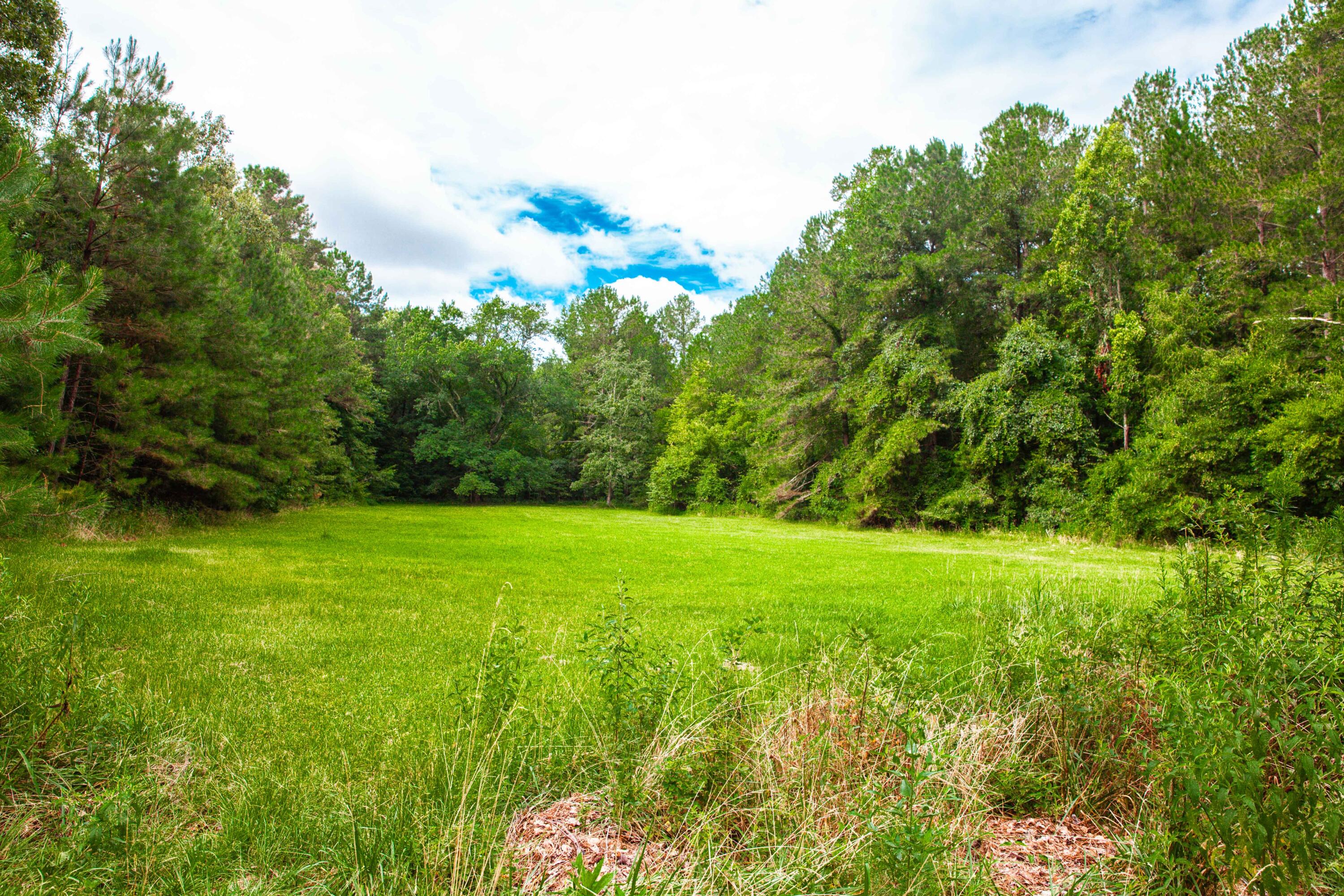 2620 Dozier Road Appling, GA 30802 - Photo 72 of 72 IMG_2369