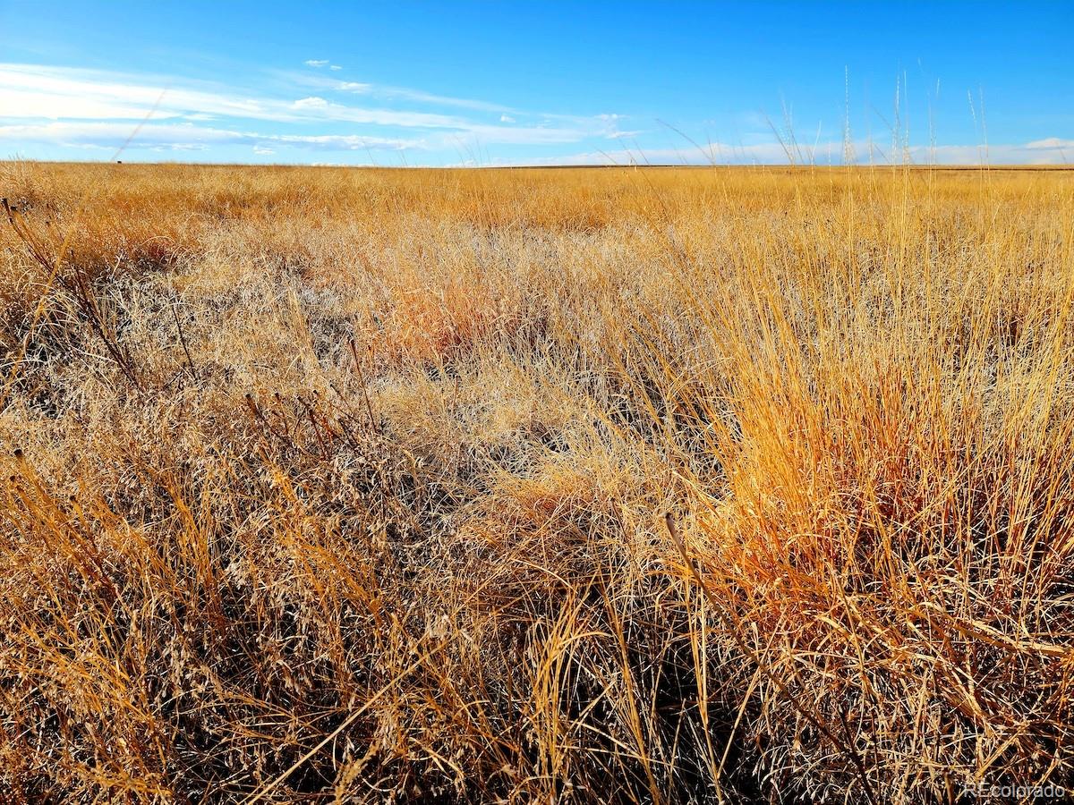 Prospect Way Road Fort Morgan, CO 80701 - Photo 6 of 19 a view of an ocean