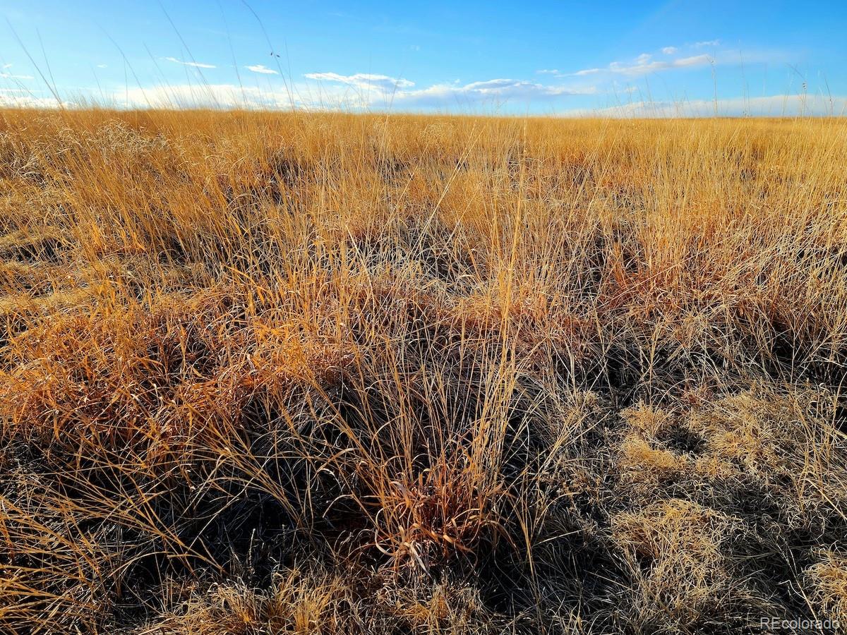 Prospect Way Road Fort Morgan, CO 80701 - Photo 9 of 19 a view of ocean with green space