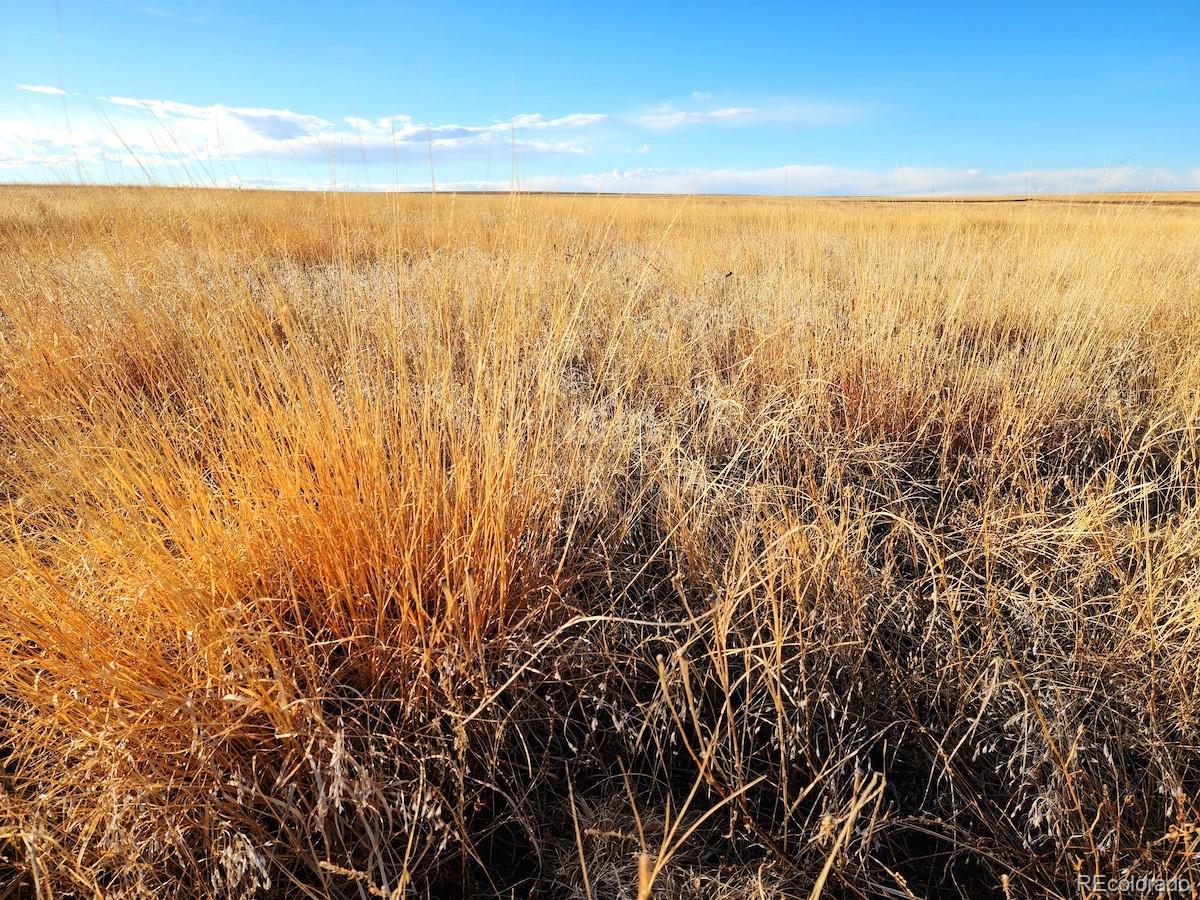 Prospect Way Road Fort Morgan, CO 80701 - Photo 10 of 19 a view of an ocean