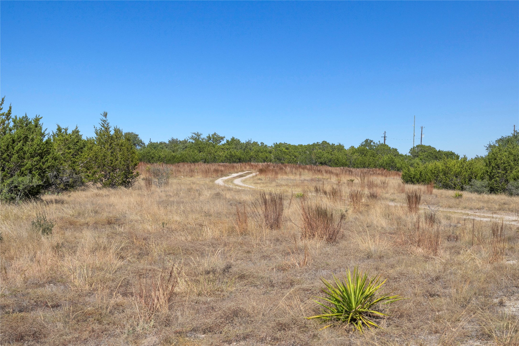 219 Canyon Road Johnson City, TX 78636 - Photo 6 of 9 a view of lake with green space