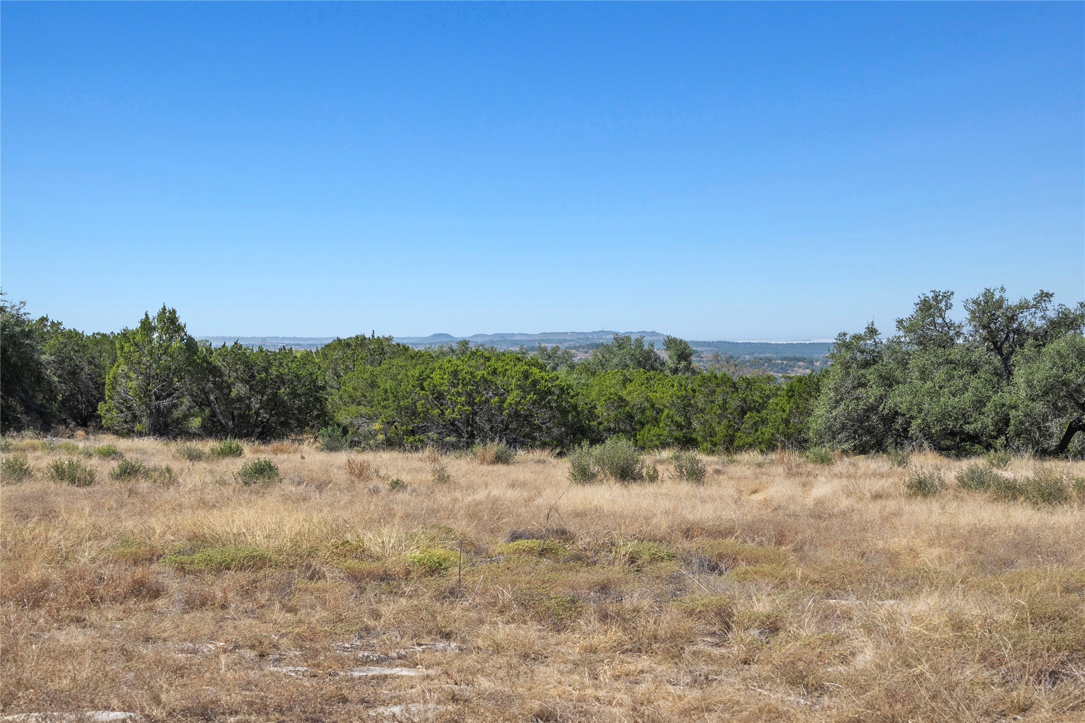 219 Canyon Road Johnson City, TX 78636 - Photo 8 of 9 a view of a dry yard with trees in the background