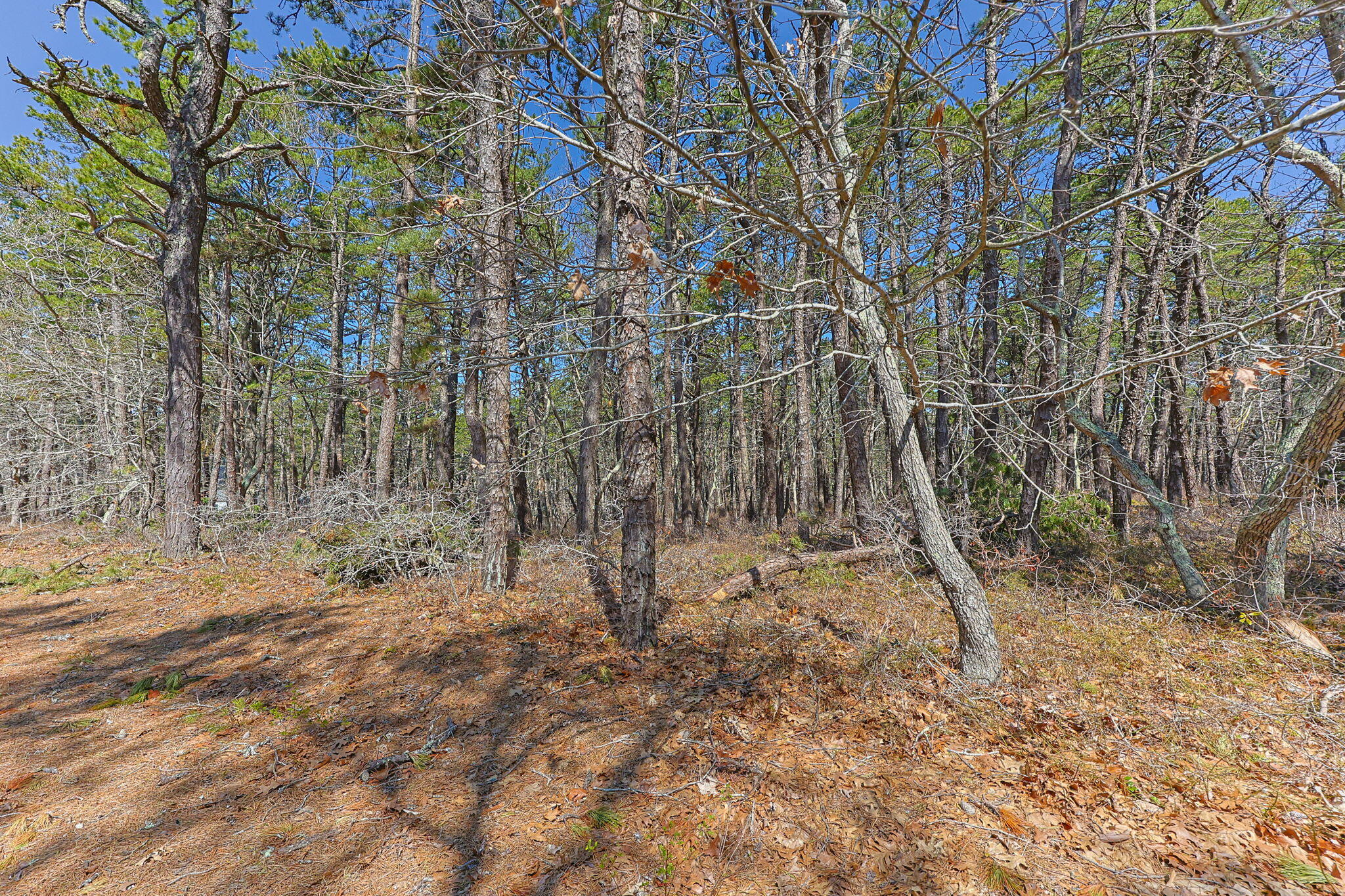 175 Delphi Path Wellfleet, MA 02667 - Photo 1 of 25 6-web-or-mls-175-delphi-path