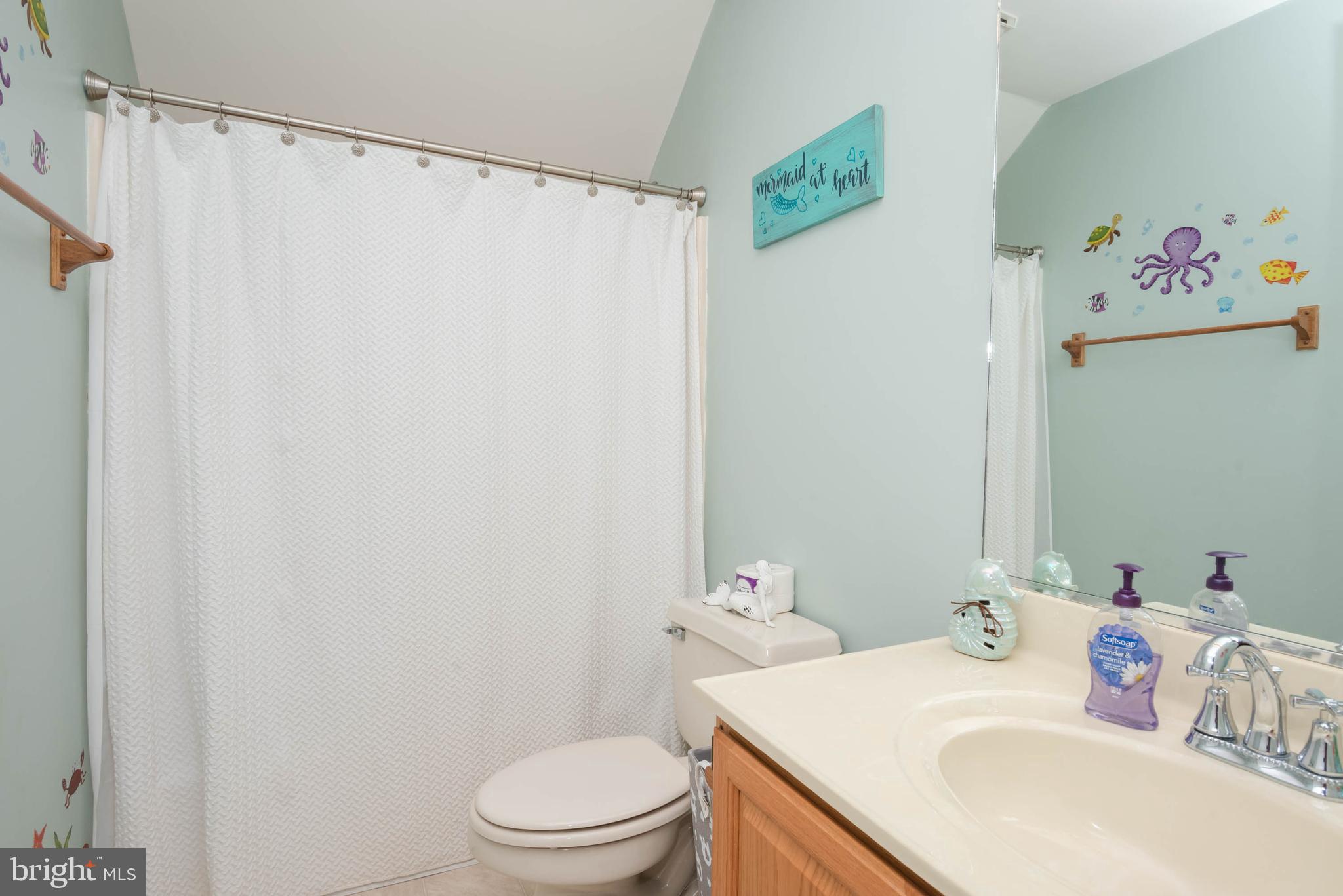 9303 Green Branch Road Willards, MD 21874 - Photo 13 of 19 Upstairs Full Bath