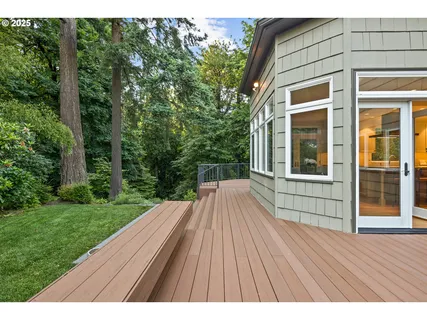 a view of a yard with a tree
