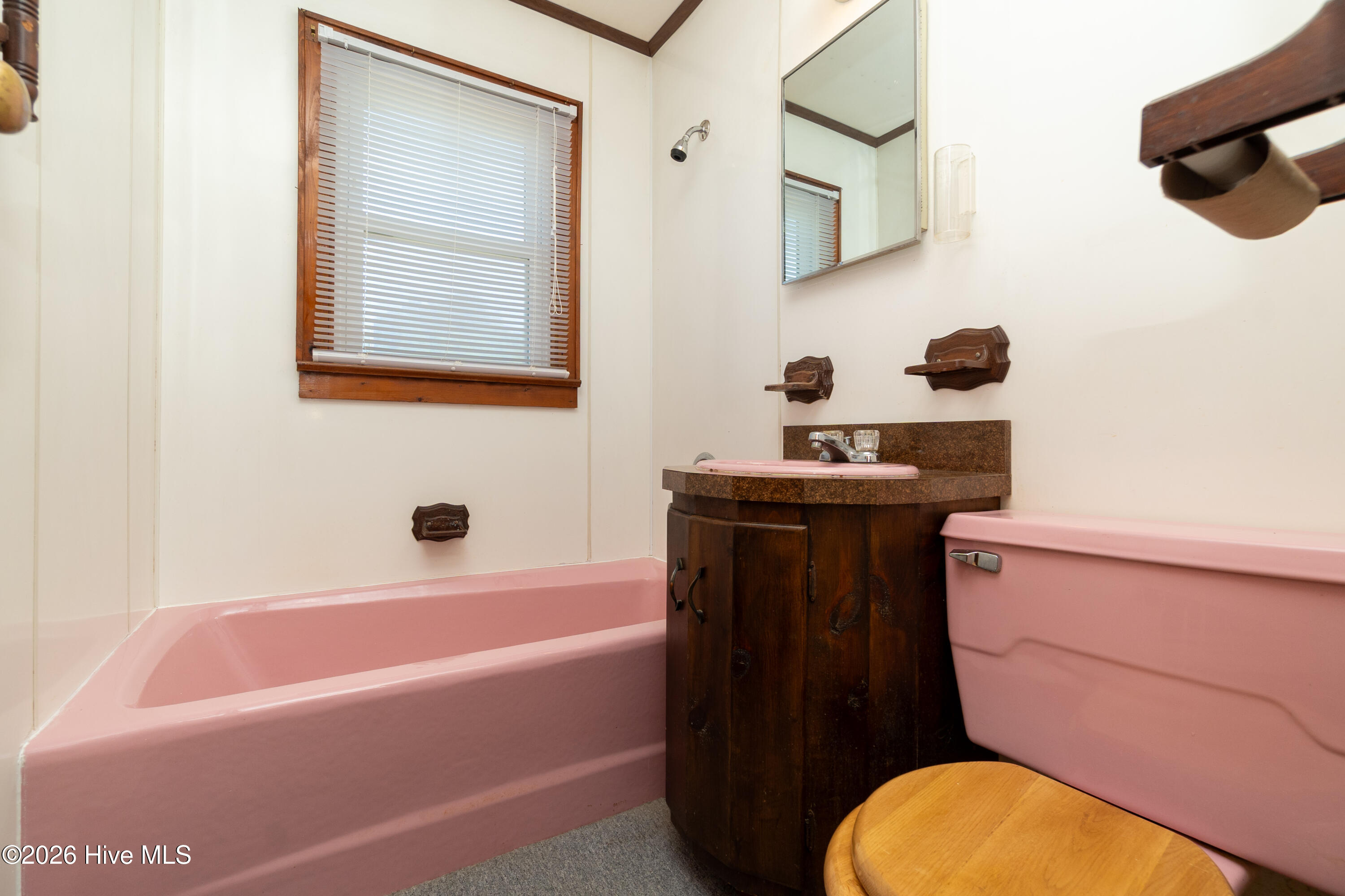 980 Sandy Cross Road Hobbsville, NC 27946 - Photo 31 of 39 Bathroom 2