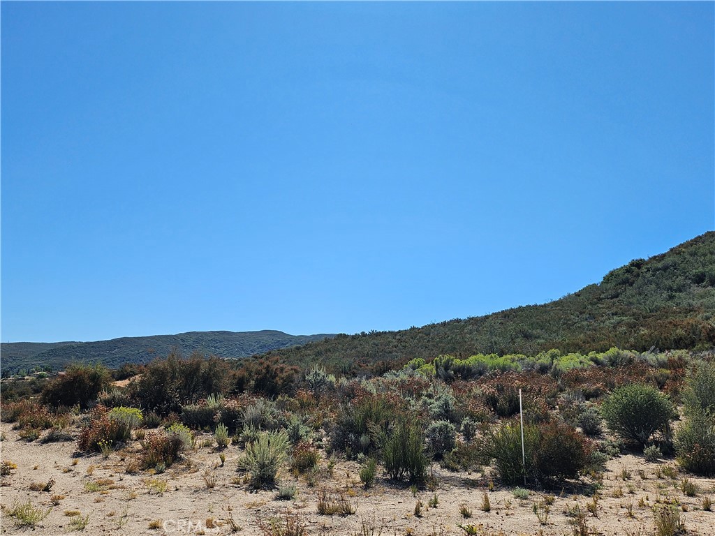 a view of a yard with a mountain