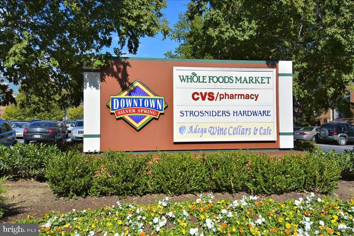 9820 Georgia Avenue, Unit 21303 Silver Spring, MD 20902 - Photo 56 of 74