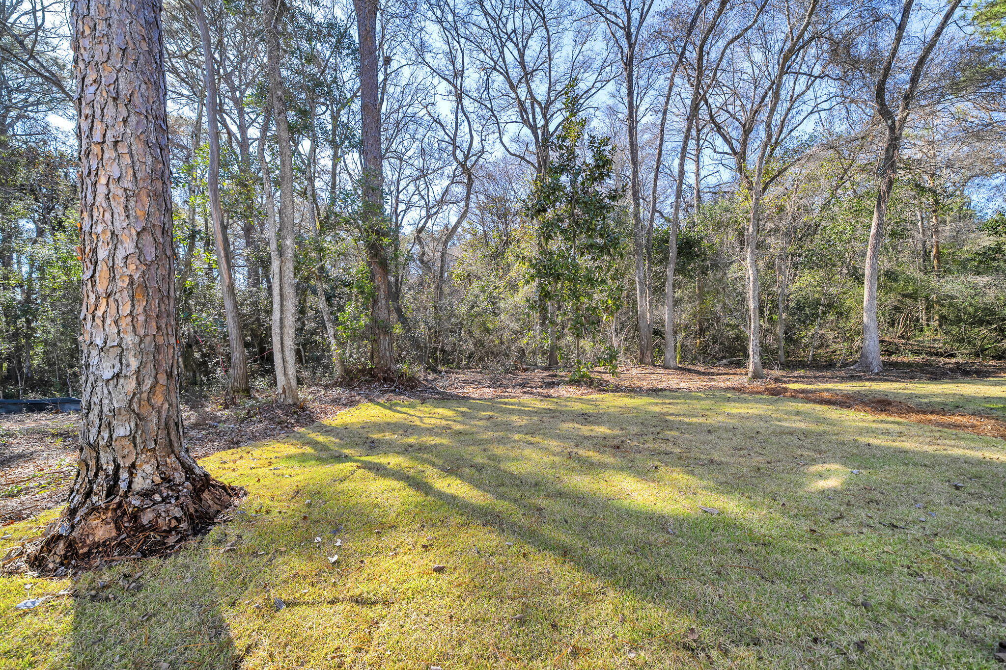 119 Osprey Lane Santa Rosa Beach, FL 32459 - Photo 22 of 33 fenced backyard