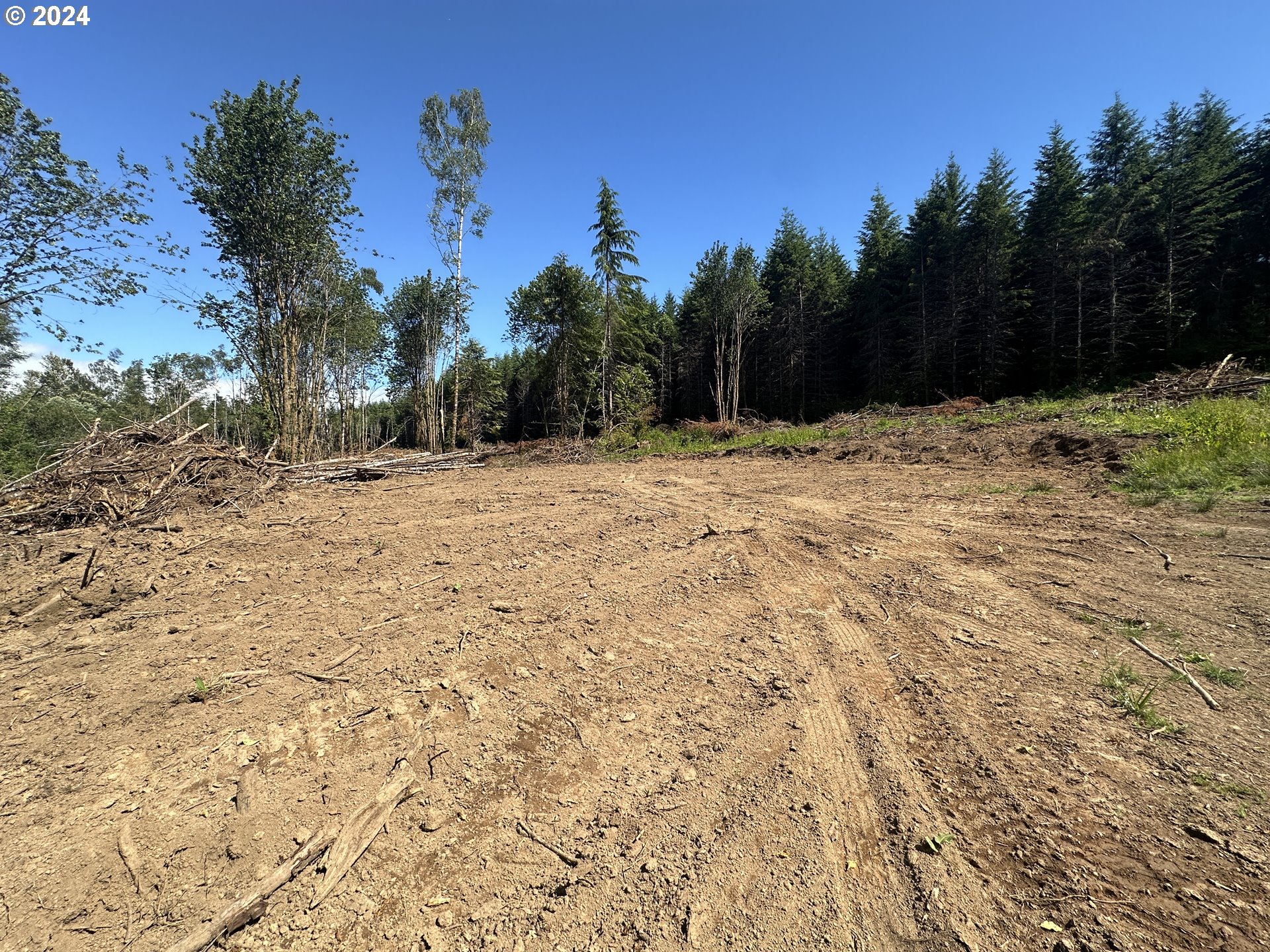 0 Price Road Rainier, OR 97048 - Photo 6 of 9