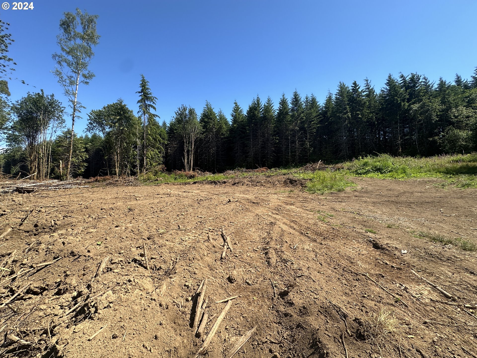 0 Price Road Rainier, OR 97048 - Photo 7 of 9