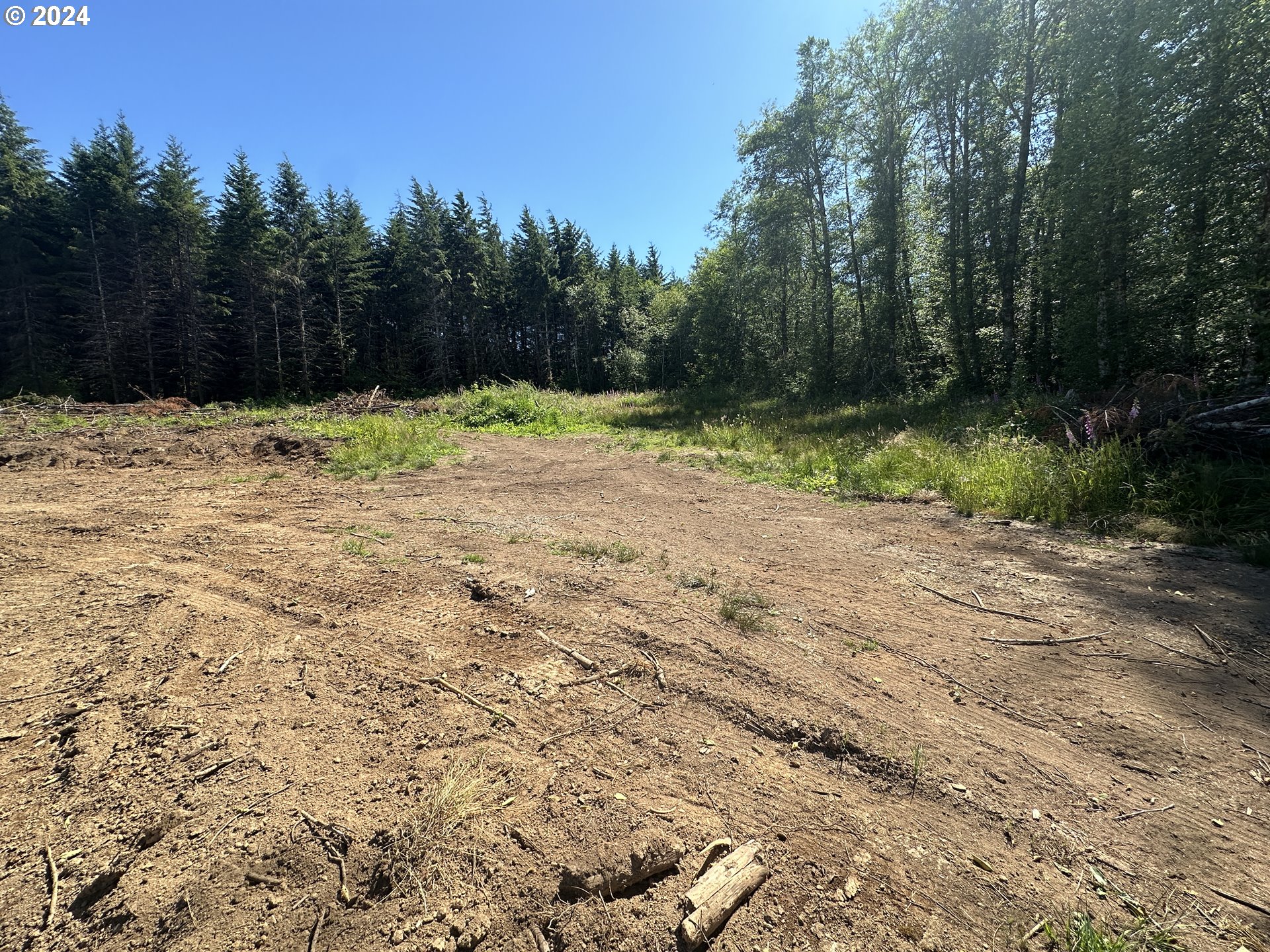 0 Price Road Rainier, OR 97048 - Photo 8 of 9