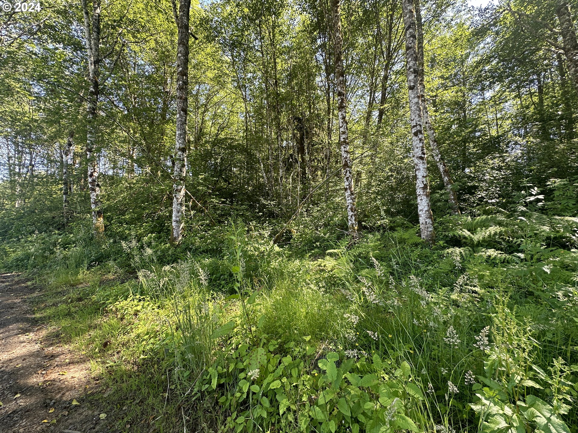 0 Price Road Rainier, OR 97048 - Photo 9 of 9