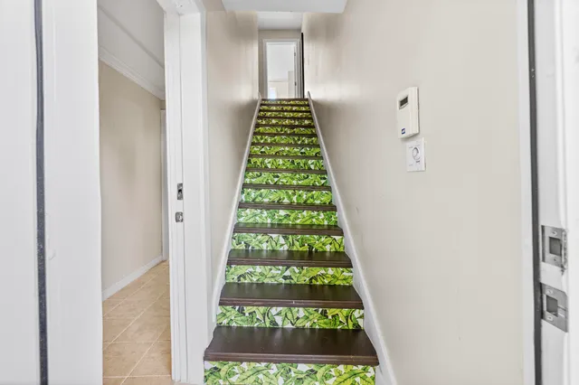 a close up of a plant in a pot