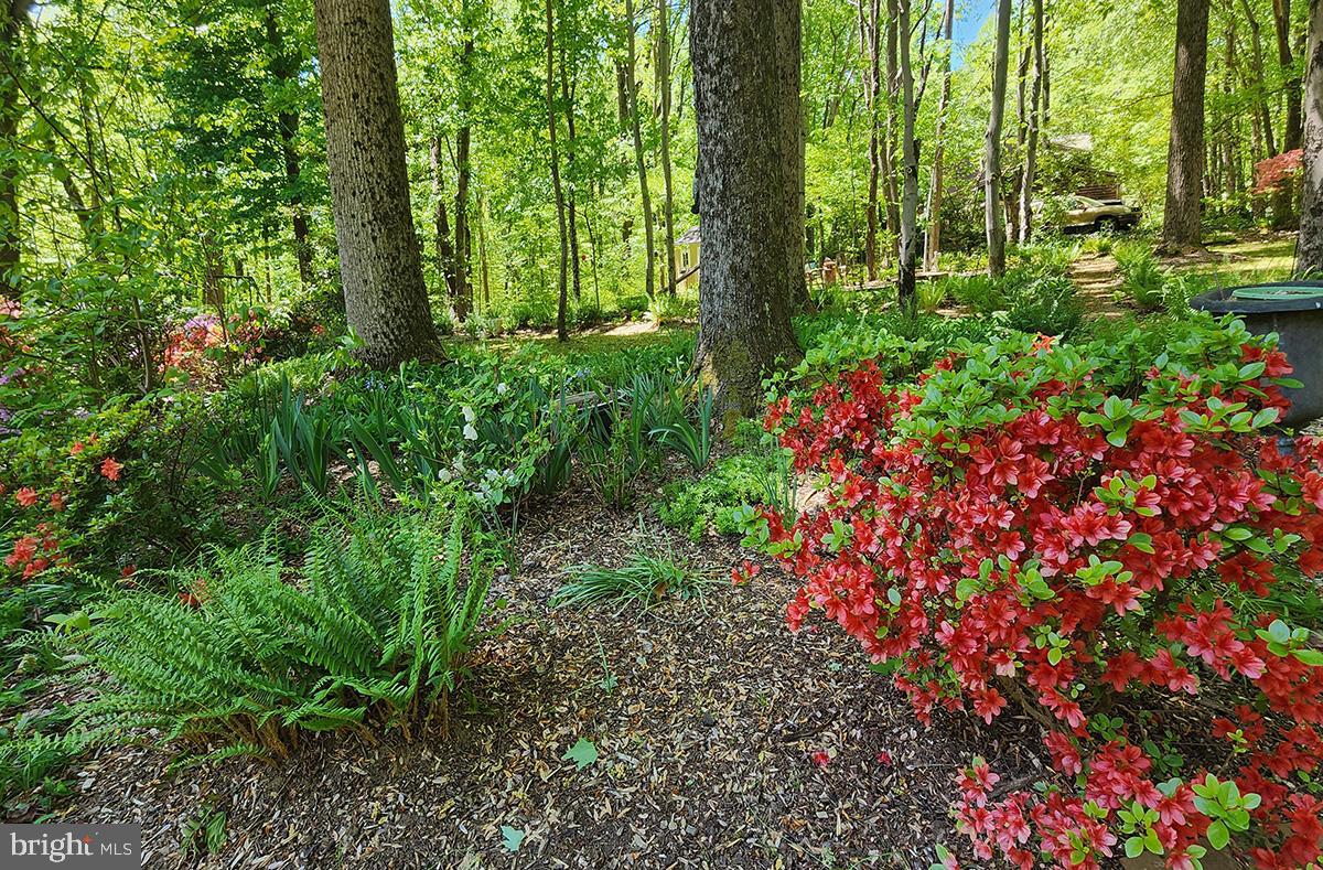 213 King James Road Upper Marlboro, MD 20774 - Photo 36 of 41 Gorgeous mature plants are everywhere!