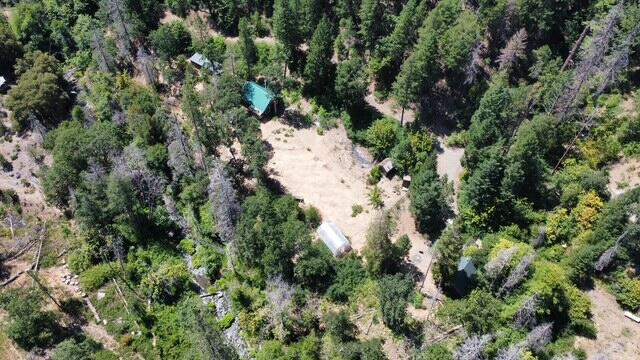 8980 Reading Creek Road Douglas City, CA 96024 - Photo 14 of 28