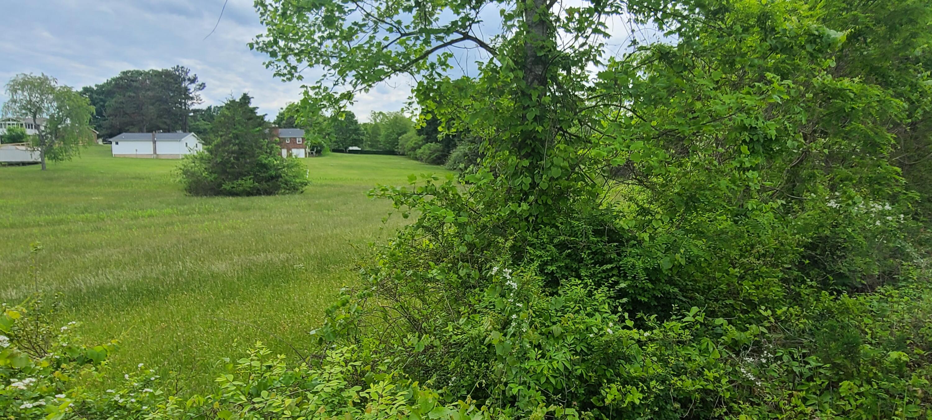 Lot 8 Edwardsville Road Hardy, VA 24101 - Photo 3 of 7 1000003241 (1)