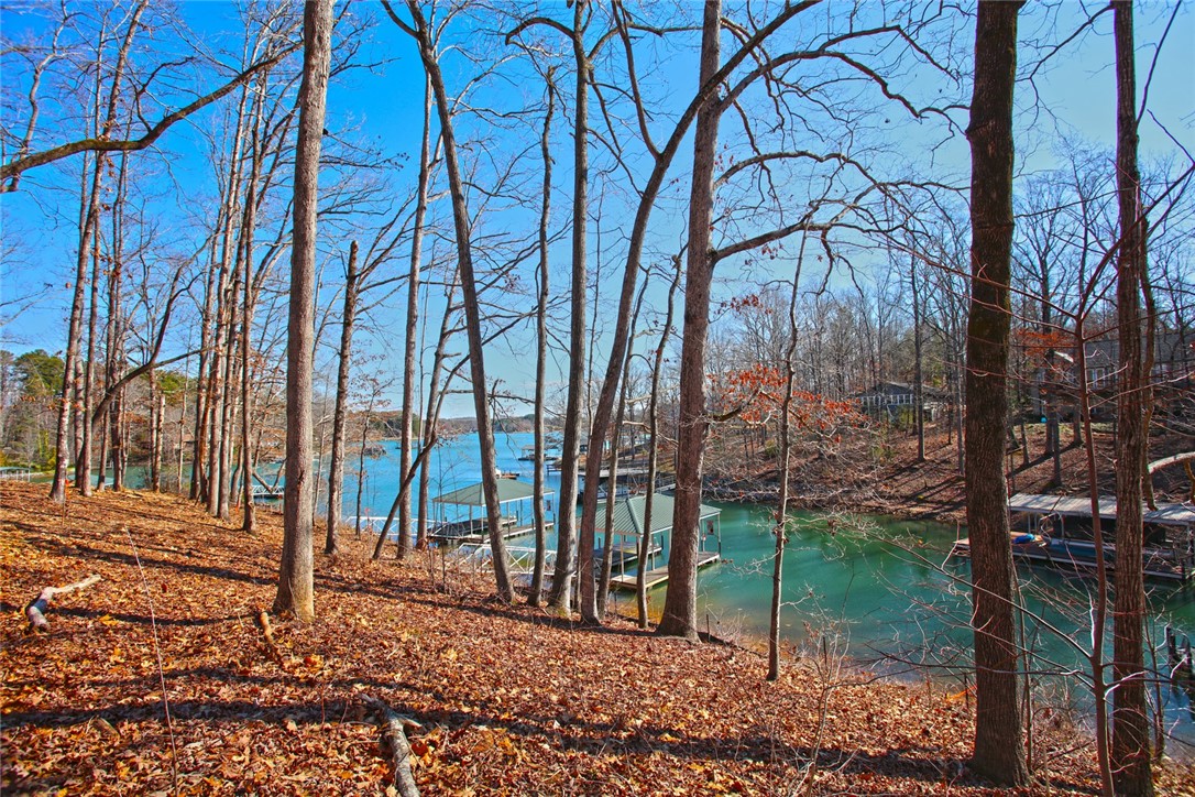 Lot 6 Laurel Pointe Seneca, SC 29672 - Photo 1 of 36 Gallery Image 1