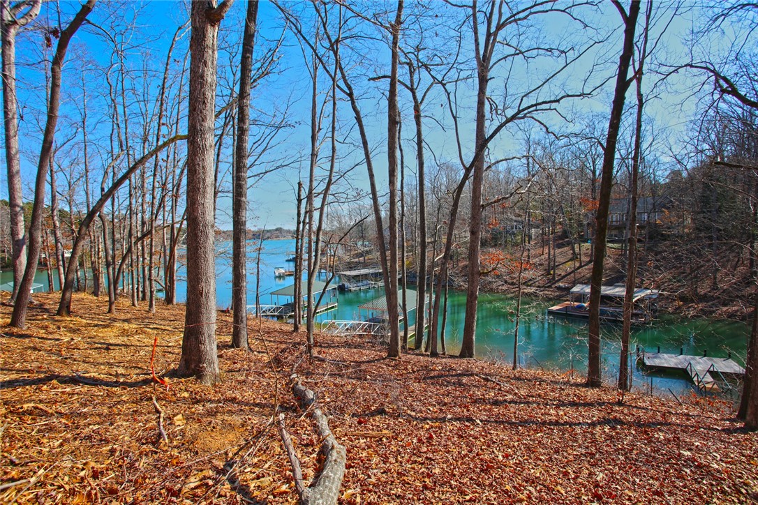 Lot 6 Laurel Pointe Seneca, SC 29672 - Photo 11 of 36 Gallery Image 11