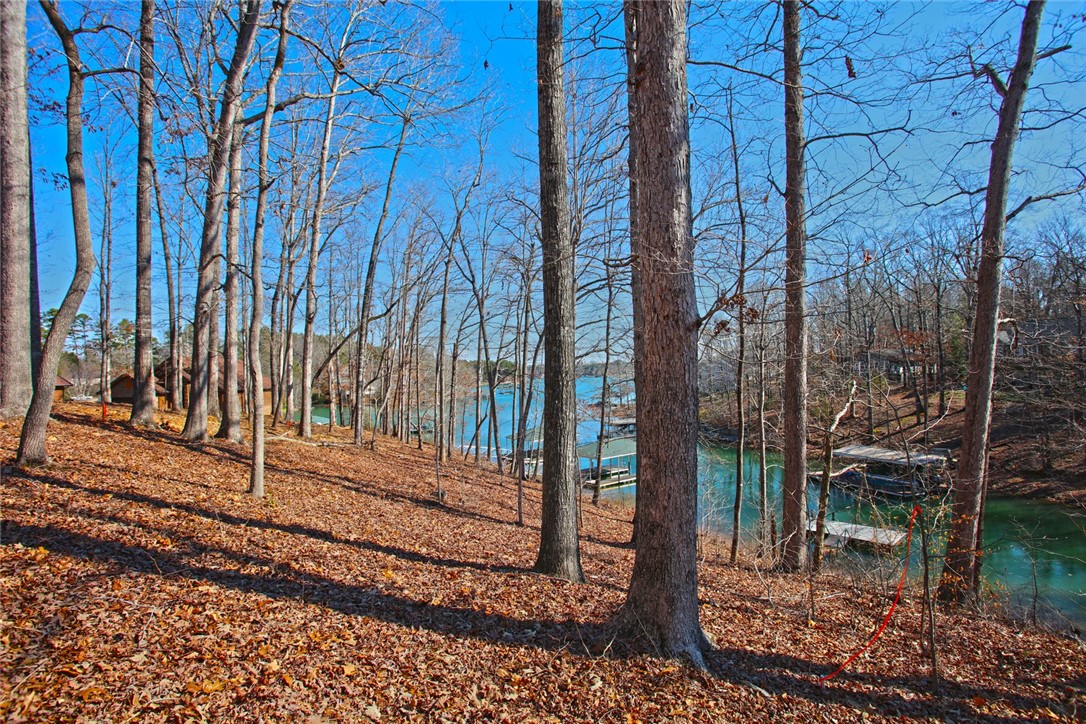 Lot 6 Laurel Pointe Seneca, SC 29672 - Photo 13 of 36 Gallery Image 13