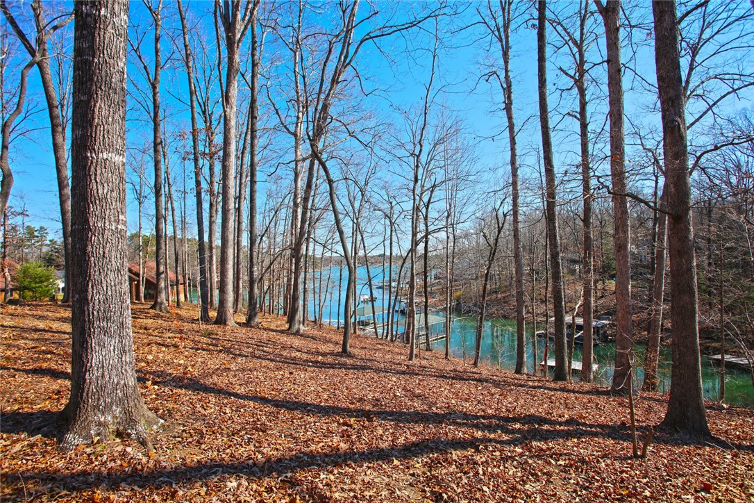 Lot 6 Laurel Pointe Seneca, SC 29672 - Photo 14 of 36 Gallery Image 14